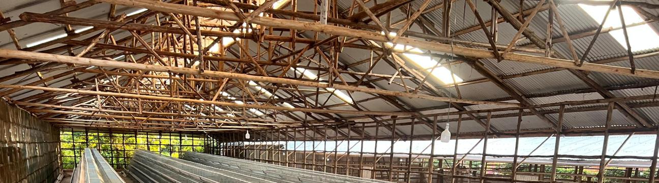 Poultry Cages